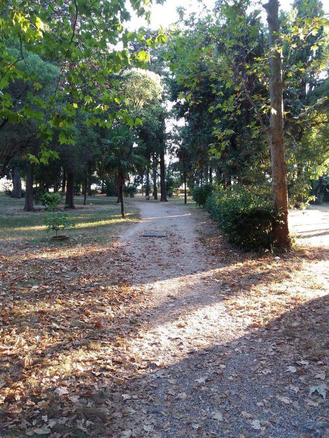 זאדאר Apartment Maja מראה חיצוני תמונה